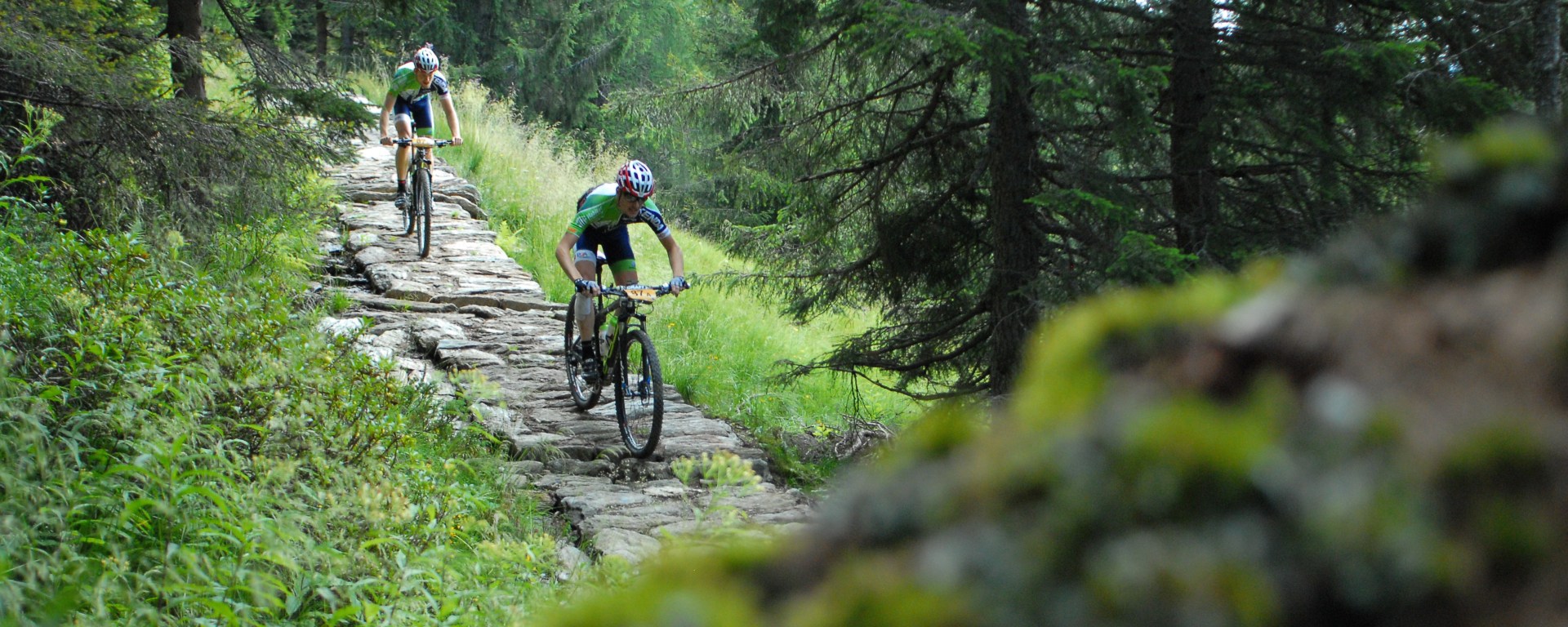 Transalp 2015 - Sportograf - downhill