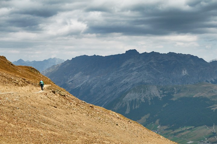 Livigno Flow Trails - Roy Rovers Photography-847