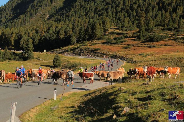 sportograf-68825349_lowres